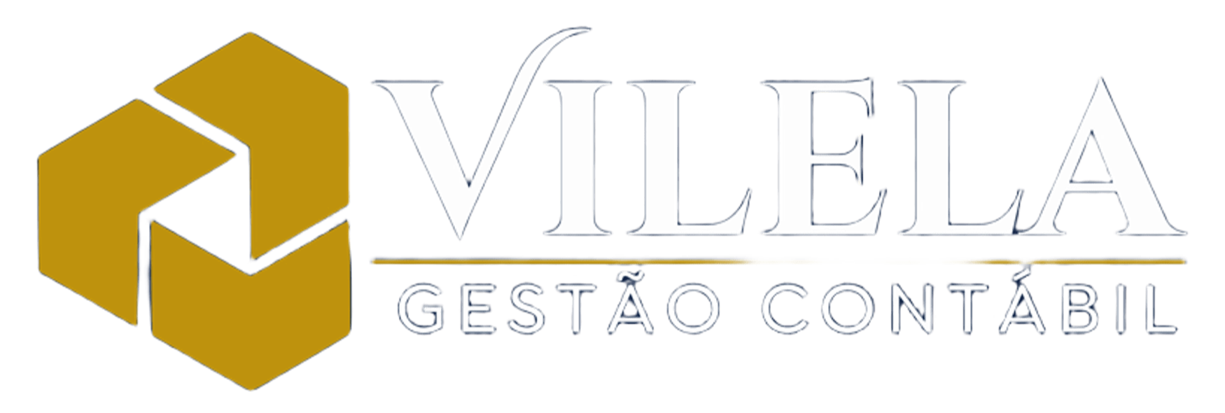 Logo_horizontal 2_Vilela - 1 (1).png